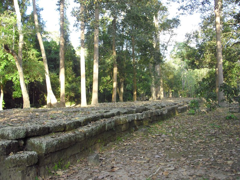 Image CIMG3026.JPG