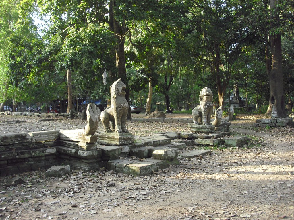 Image CIMG3027.JPG