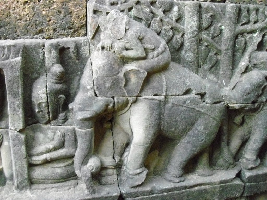 Image CIMG3045.JPG