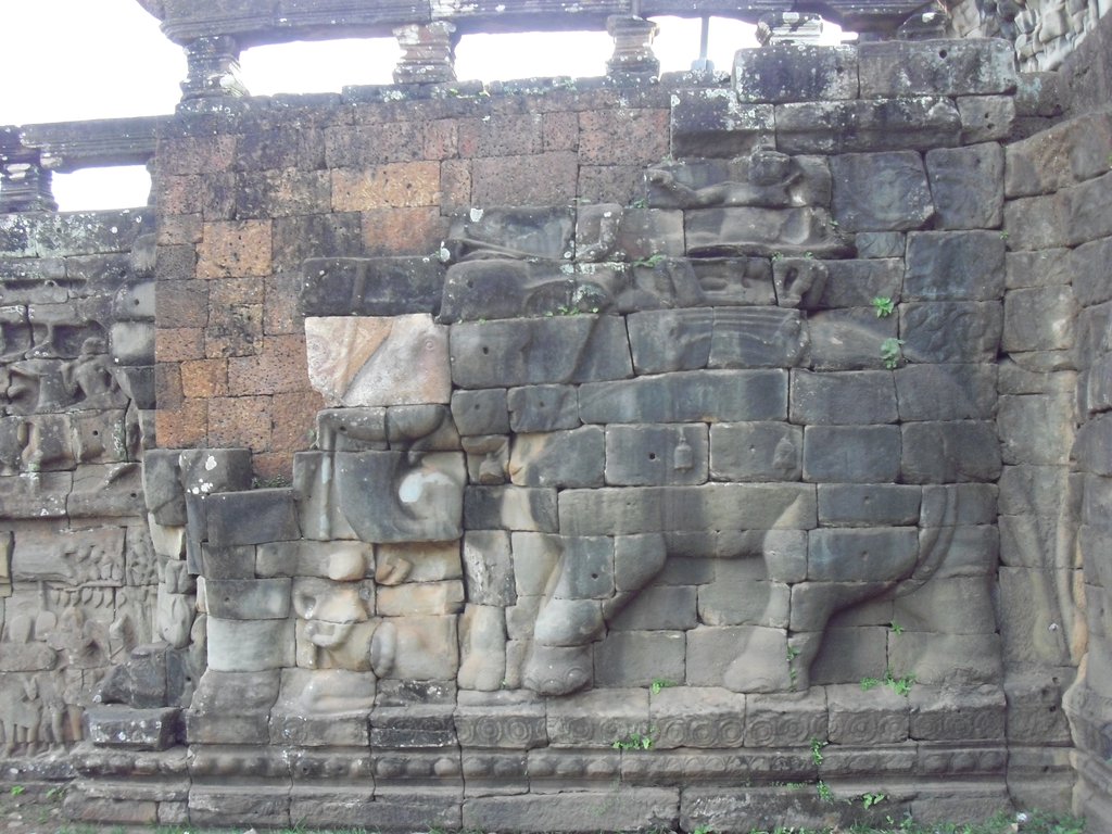 Image CIMG3047.JPG