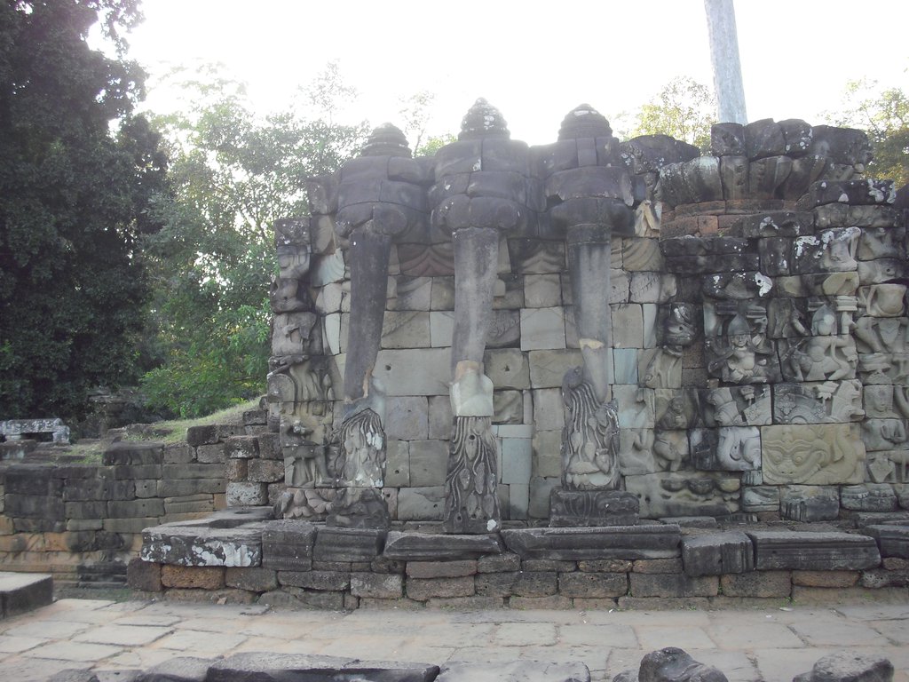 Image CIMG3050.JPG