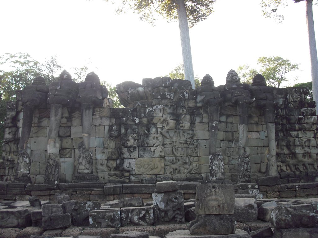 Image CIMG3051.JPG
