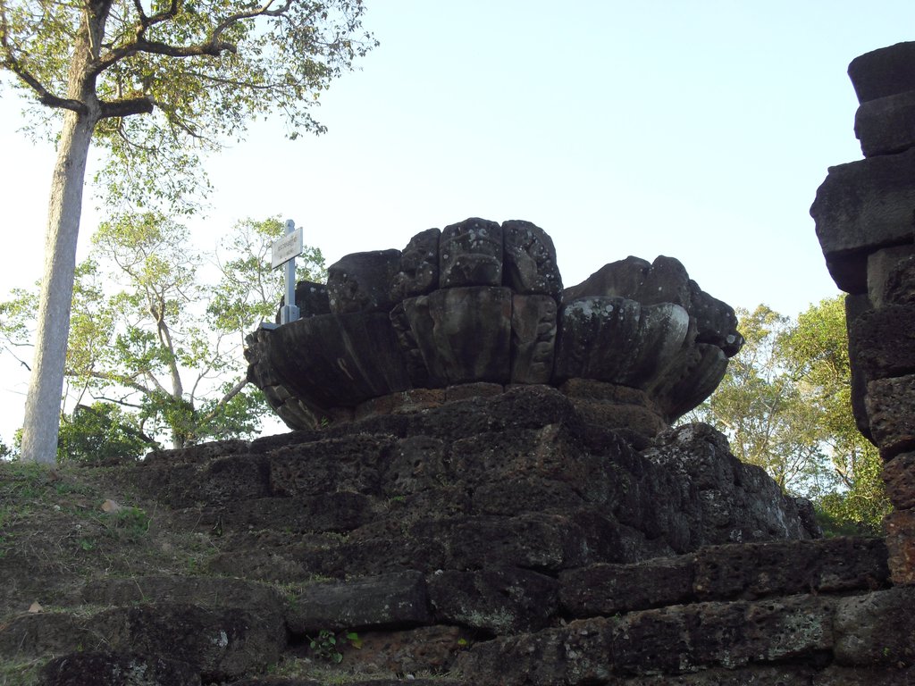 Image CIMG3053.JPG