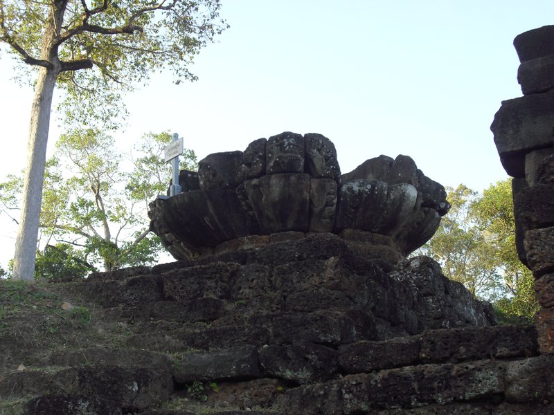 Image CIMG3053.JPG