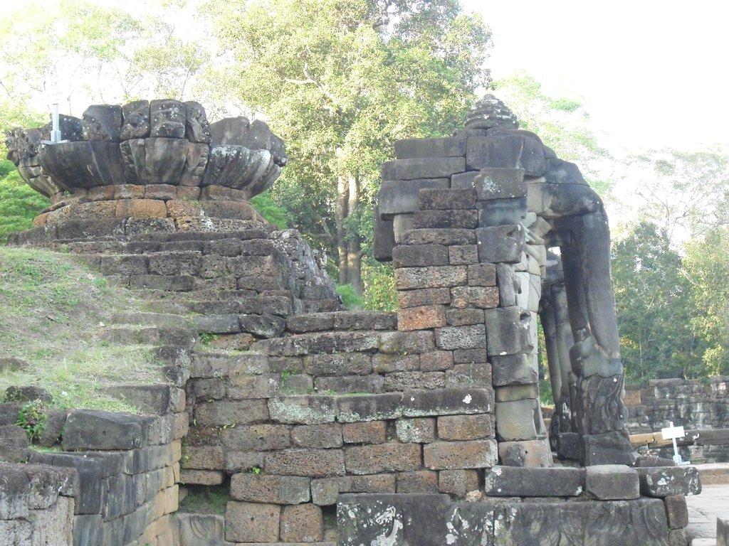 Image CIMG3055.JPG