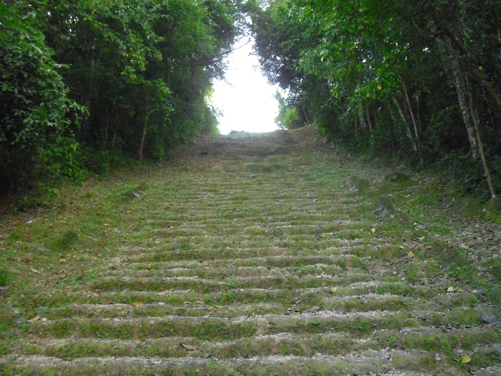 Image CIMG3068.JPG