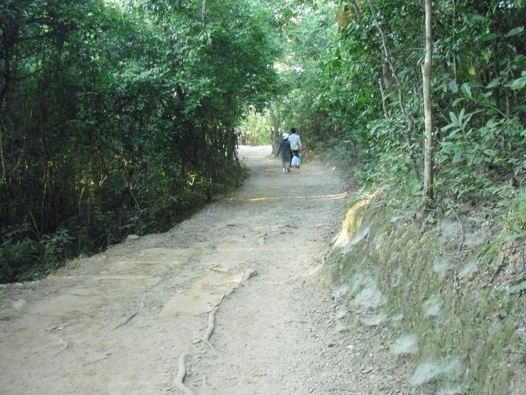 Image CIMG3069.JPG