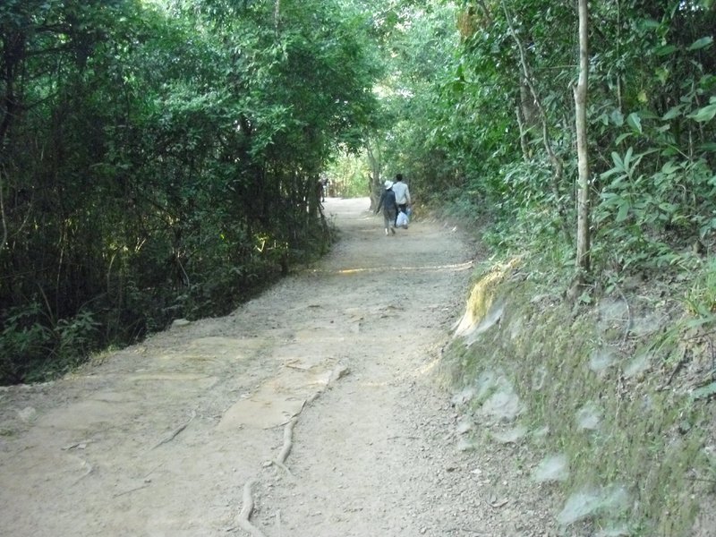 Image CIMG3069.JPG