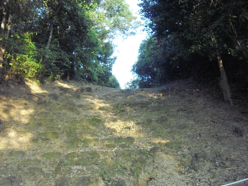 Image CIMG3070.JPG