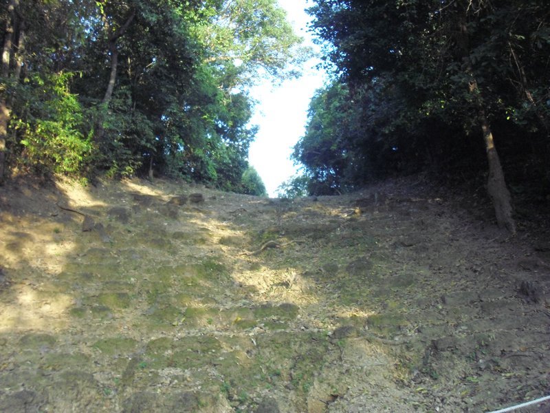 Image CIMG3070.JPG
