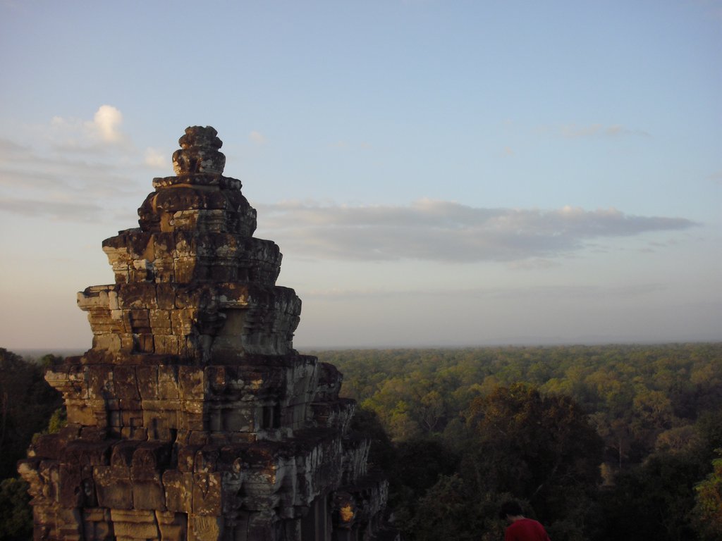 Image CIMG3078.JPG