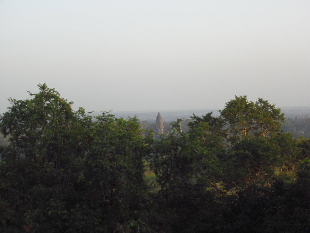 Image CIMG3080.JPG