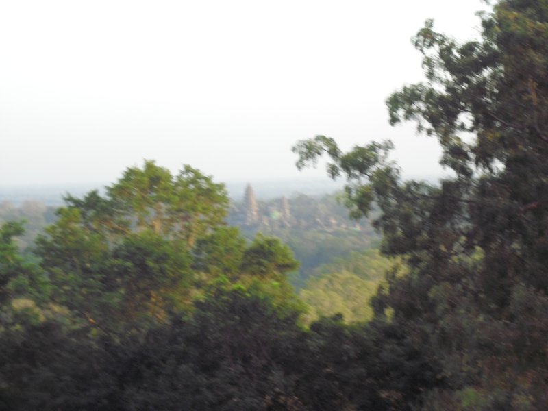 Image CIMG3081.JPG