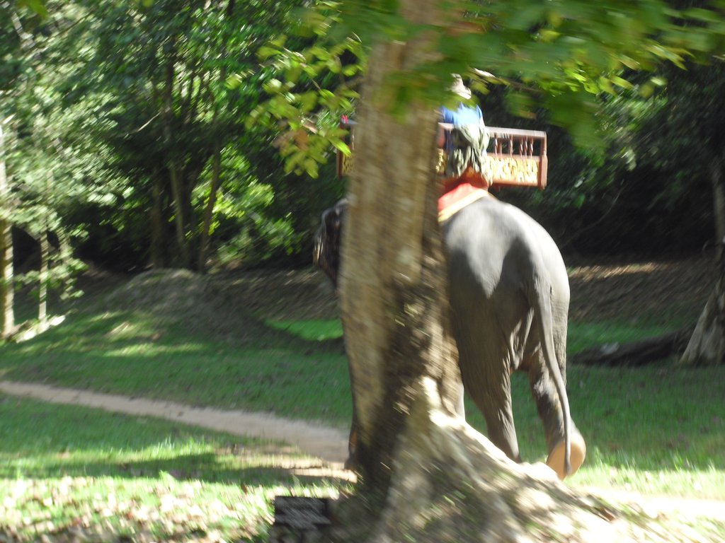 Image CIMG3106.JPG