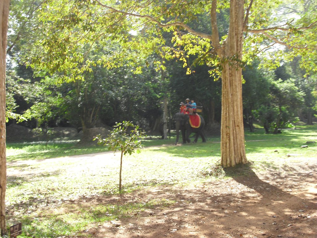 Image CIMG3107.JPG