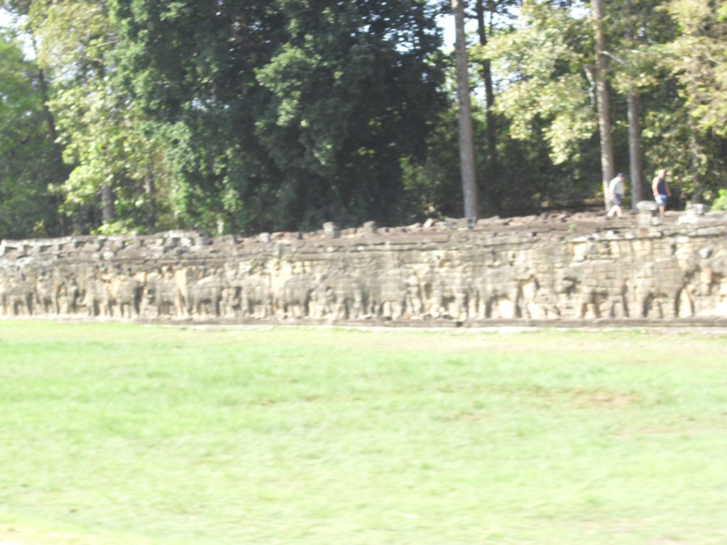 Image CIMG3111.JPG