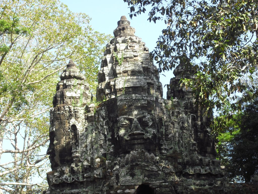 Image CIMG3113.JPG