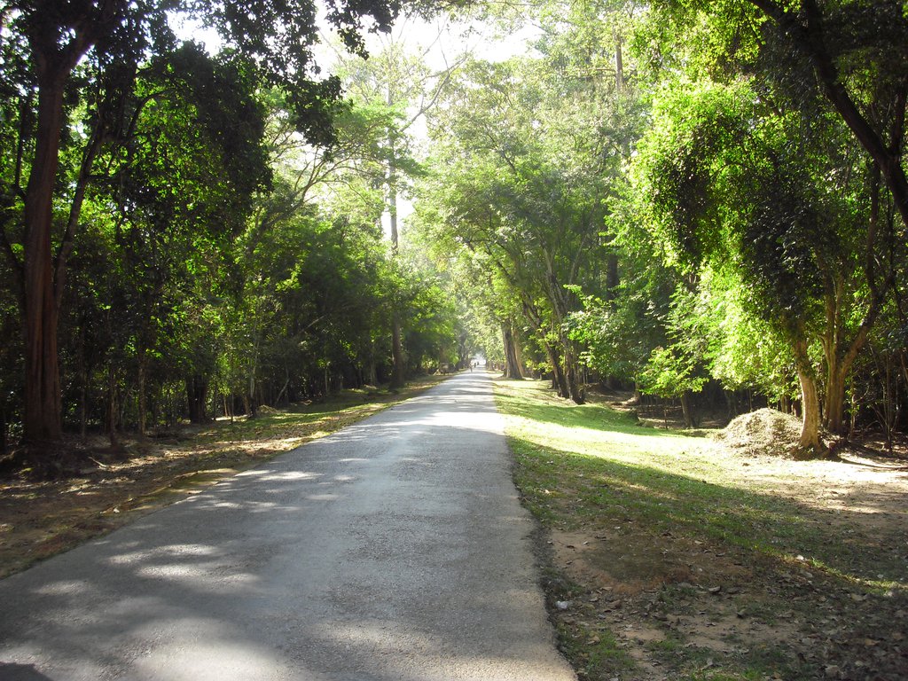 Image CIMG3114.JPG
