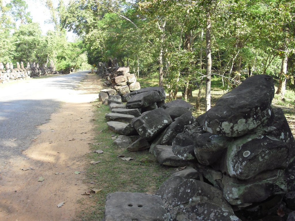 Image CIMG3116.JPG