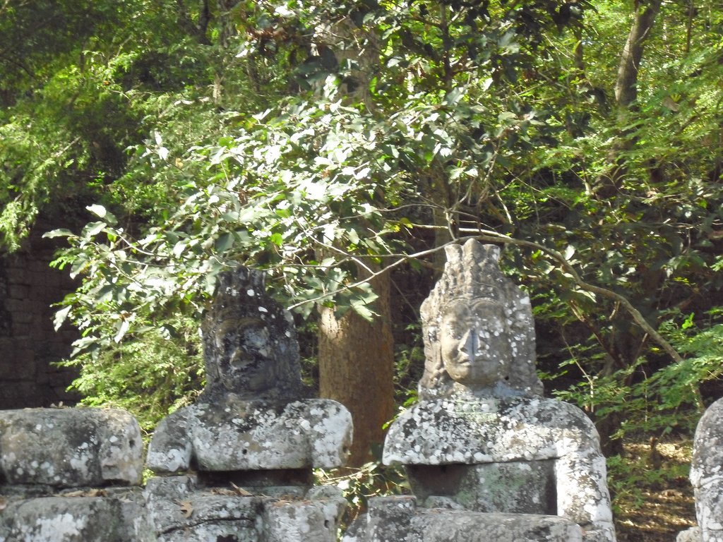 Image CIMG3118.JPG