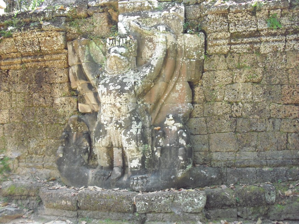 Image CIMG3122.JPG