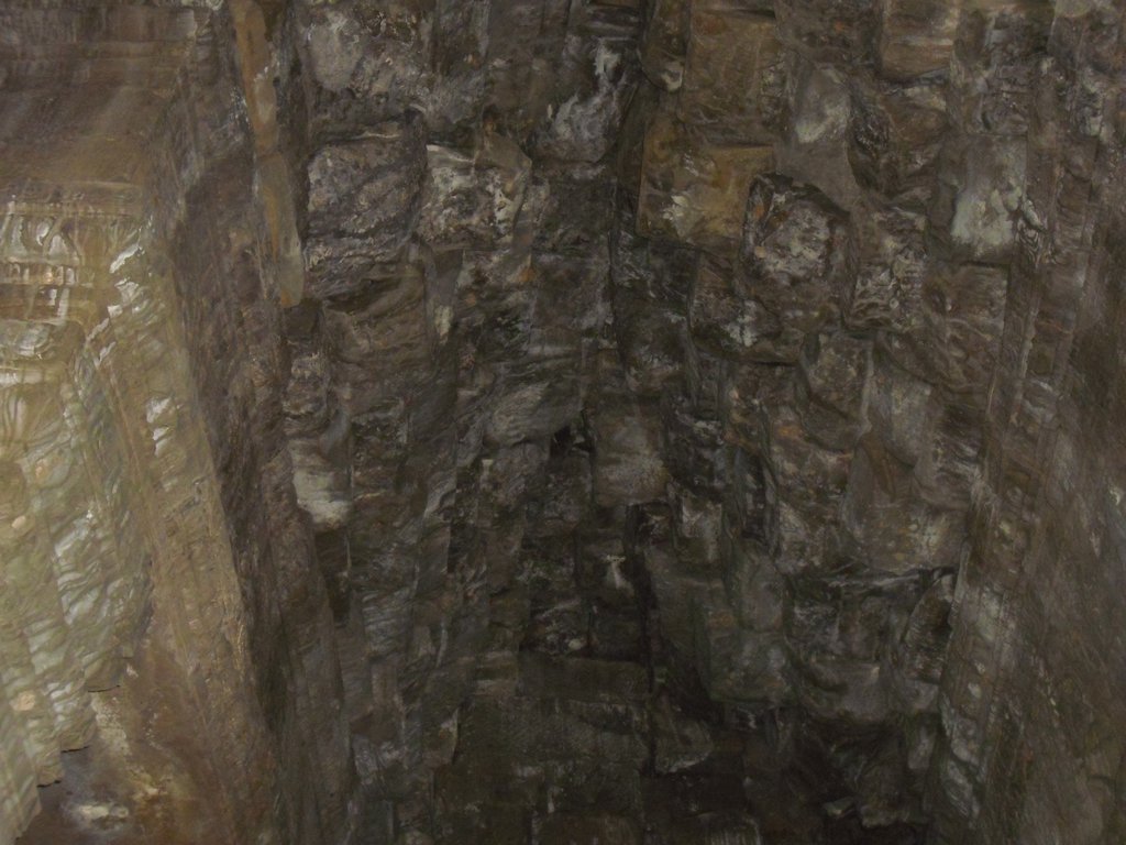 Image CIMG3125.JPG