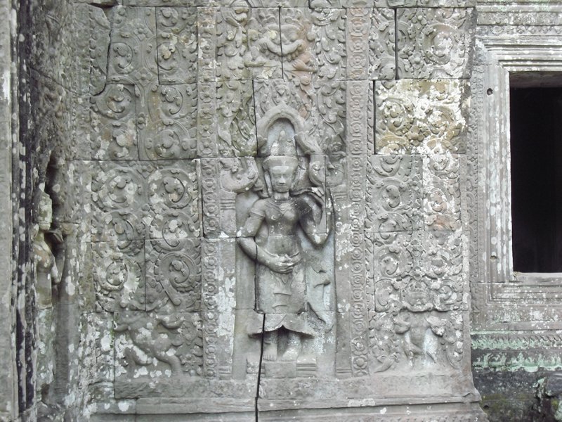Image CIMG3128.JPG