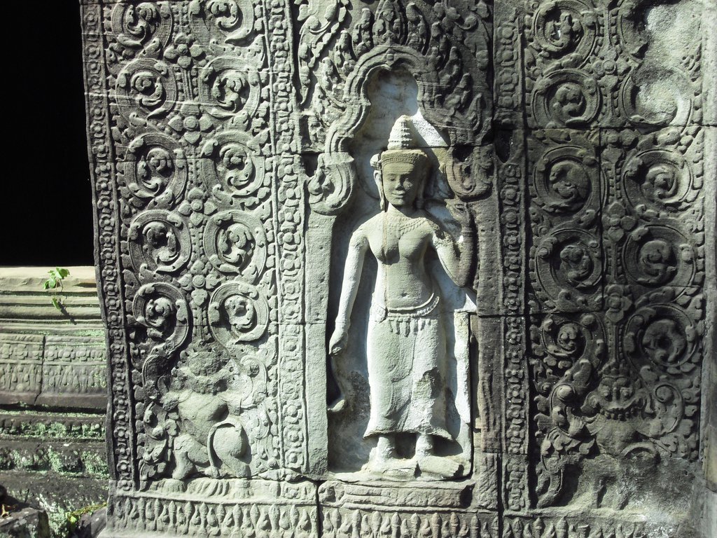 Image CIMG3130.JPG