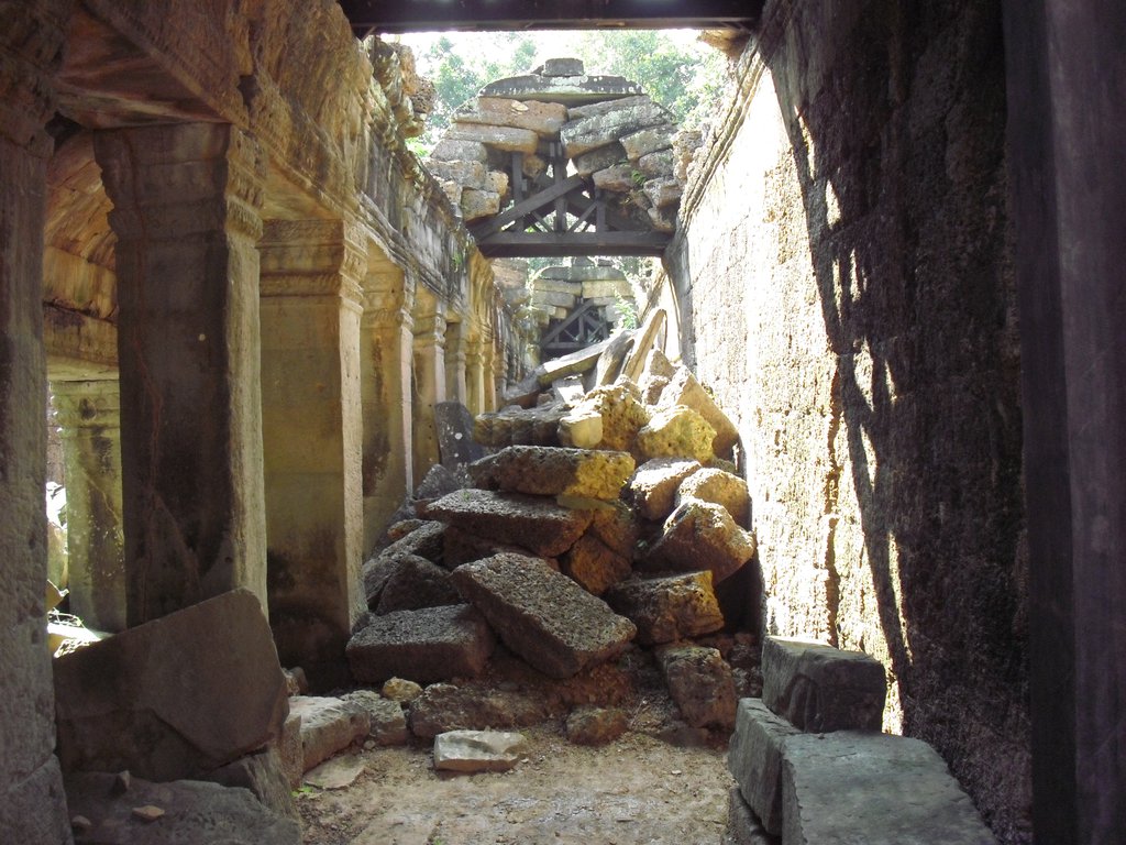 Image CIMG3135.JPG
