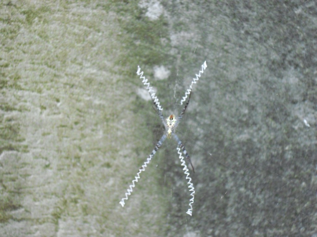 Image CIMG3137.JPG