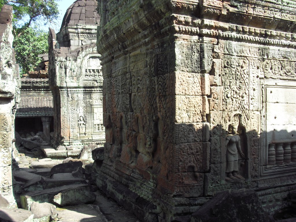 Image CIMG3138.JPG