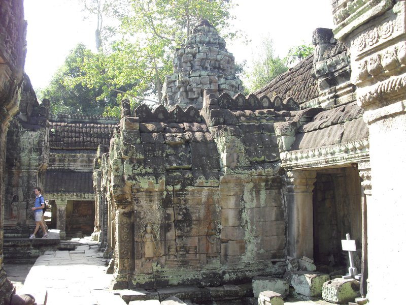 Image CIMG3140.JPG