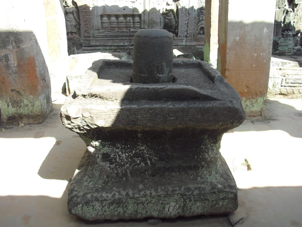 Image CIMG3141.JPG