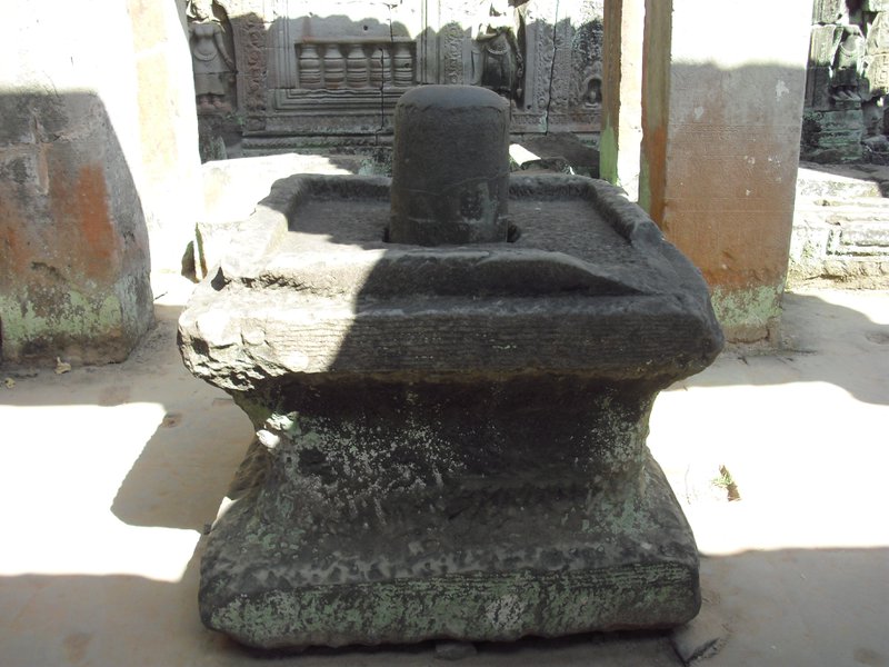 Image CIMG3141.JPG
