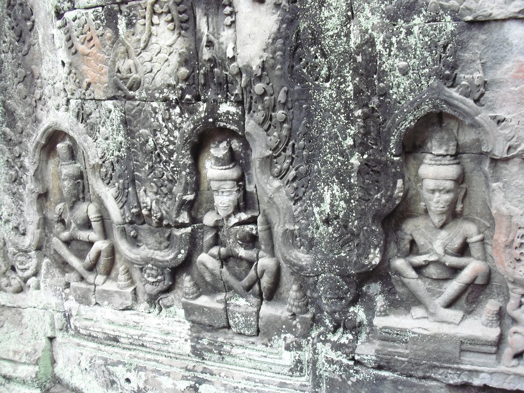 Image CIMG3145.JPG