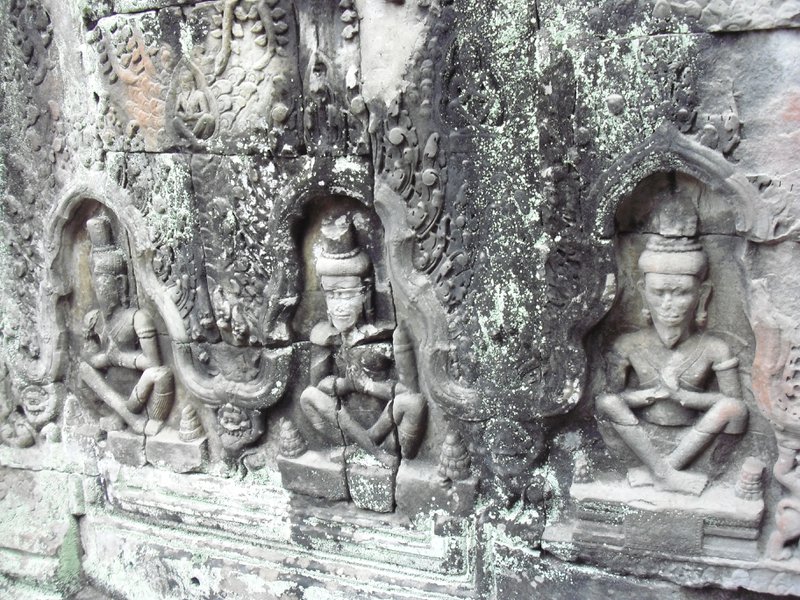 Image CIMG3145.JPG