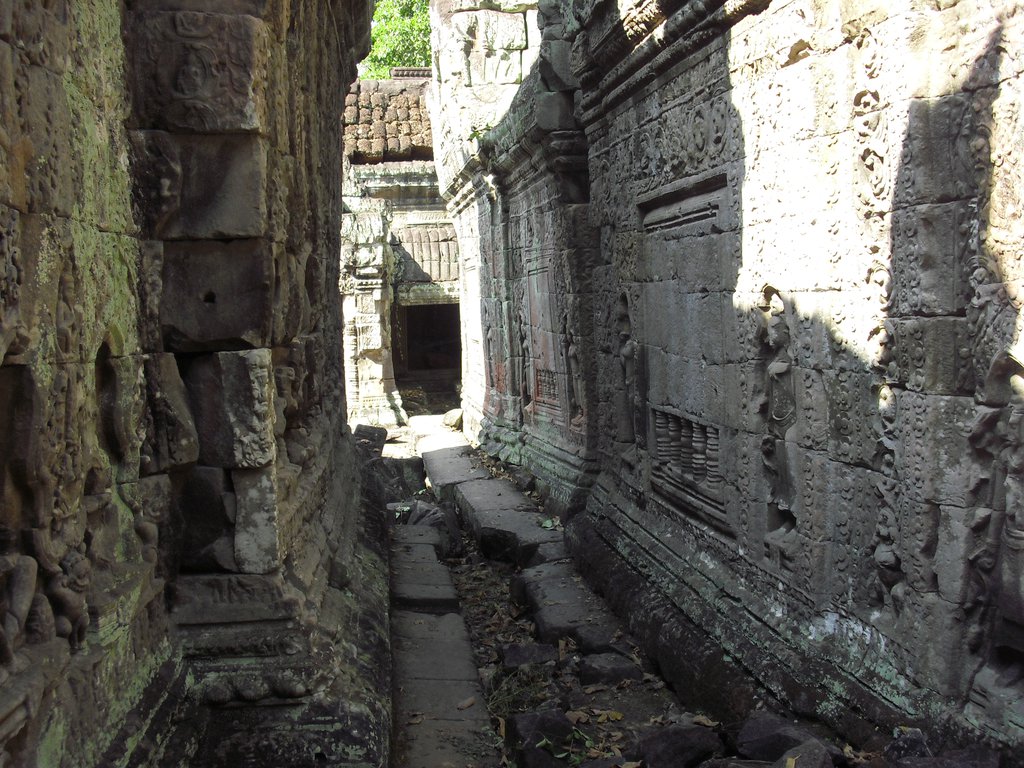 Image CIMG3146.JPG