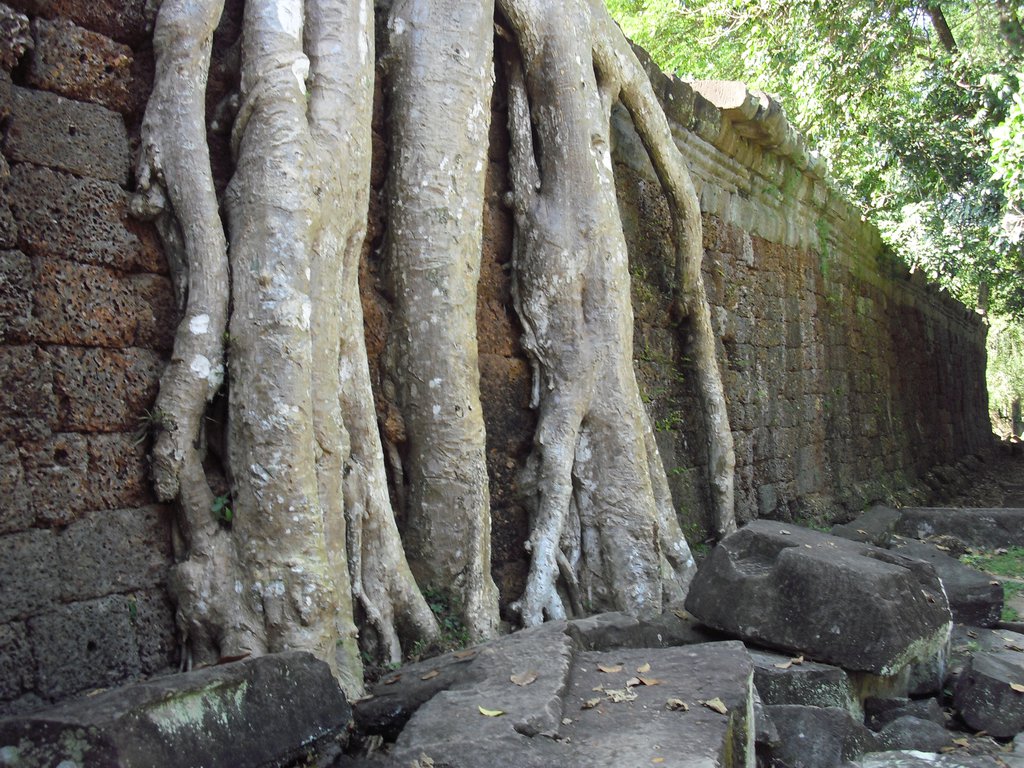 Image CIMG3147.JPG