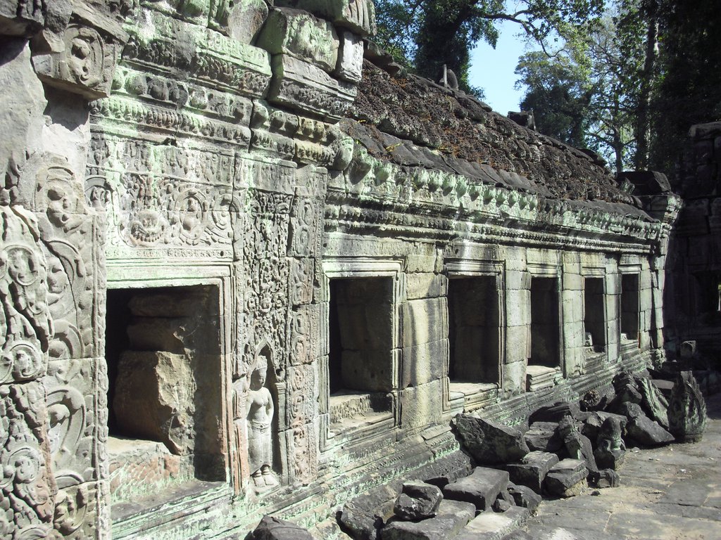 Image CIMG3149.JPG