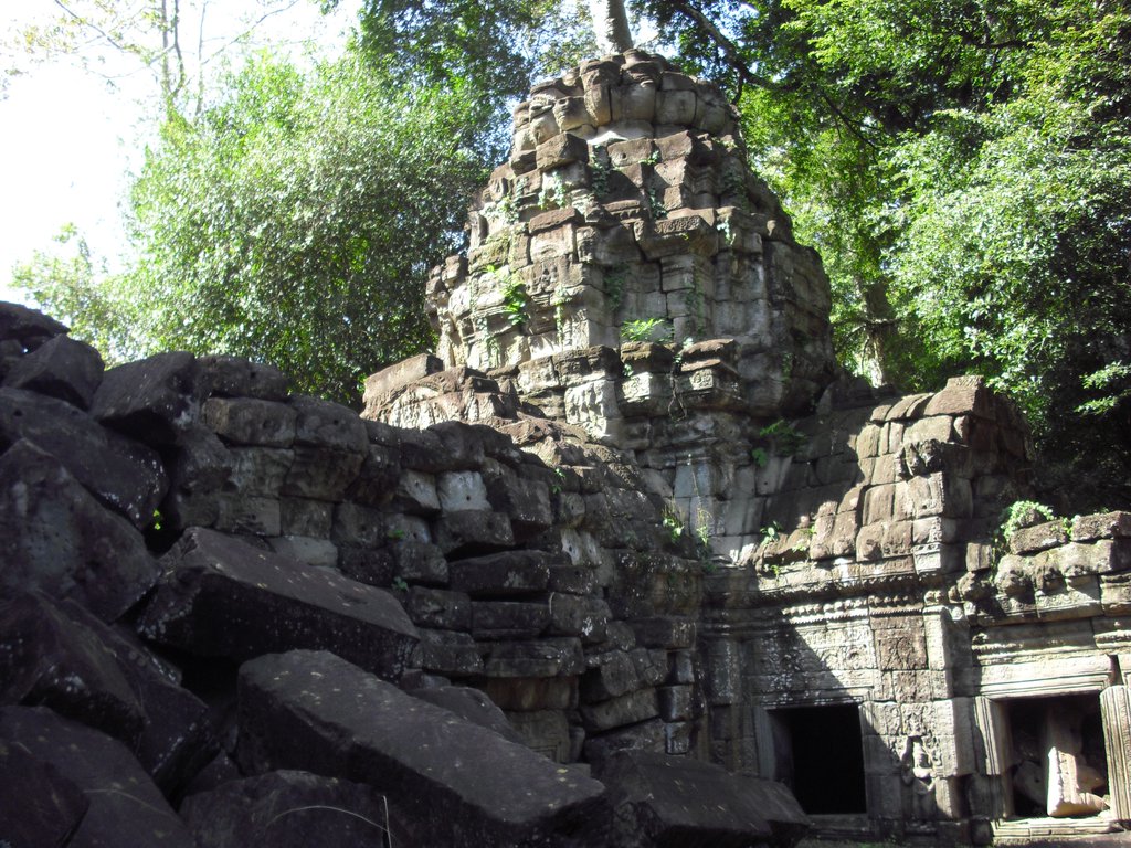 Image CIMG3155.JPG
