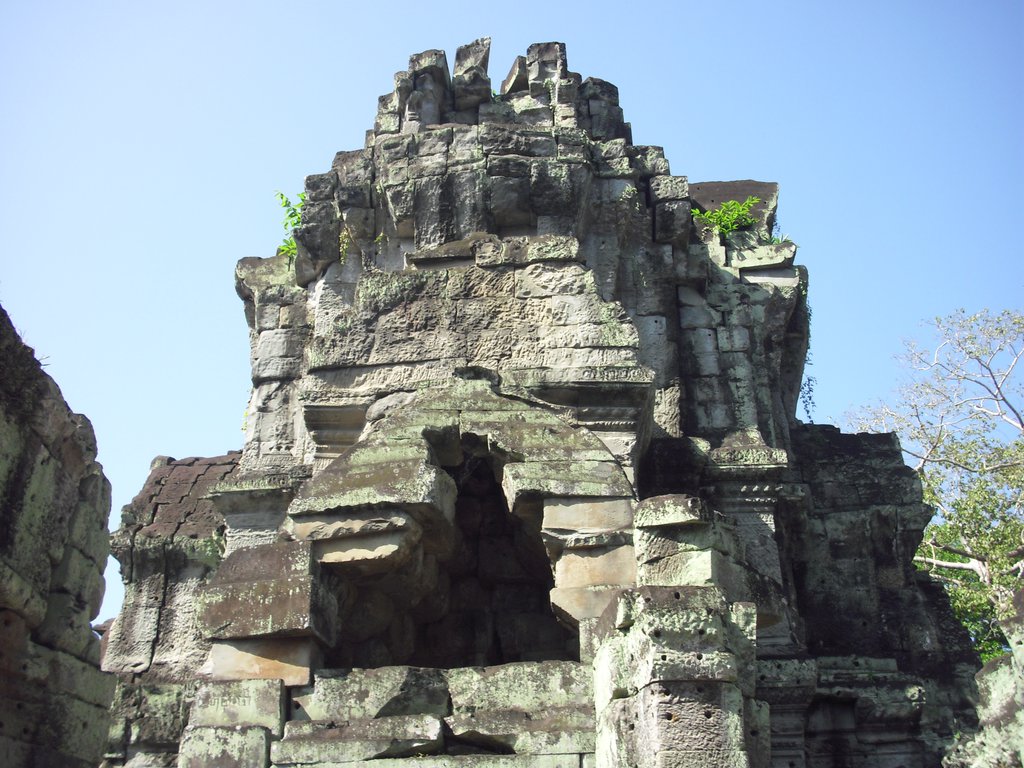 Image CIMG3159.JPG