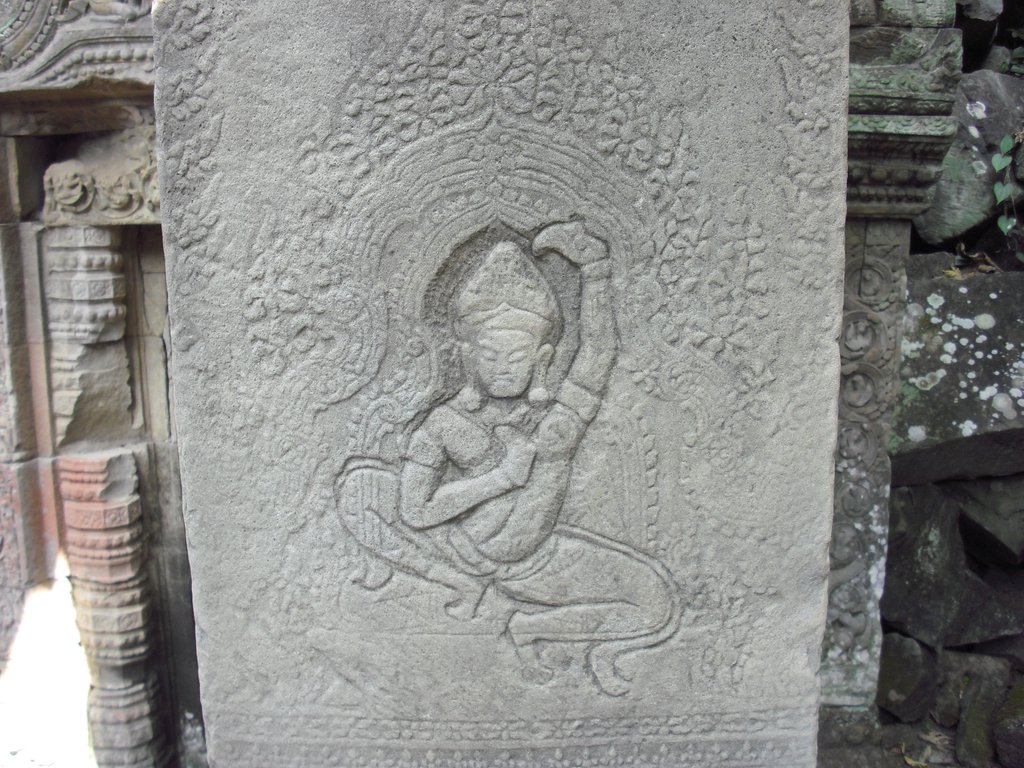 Image CIMG3160.JPG
