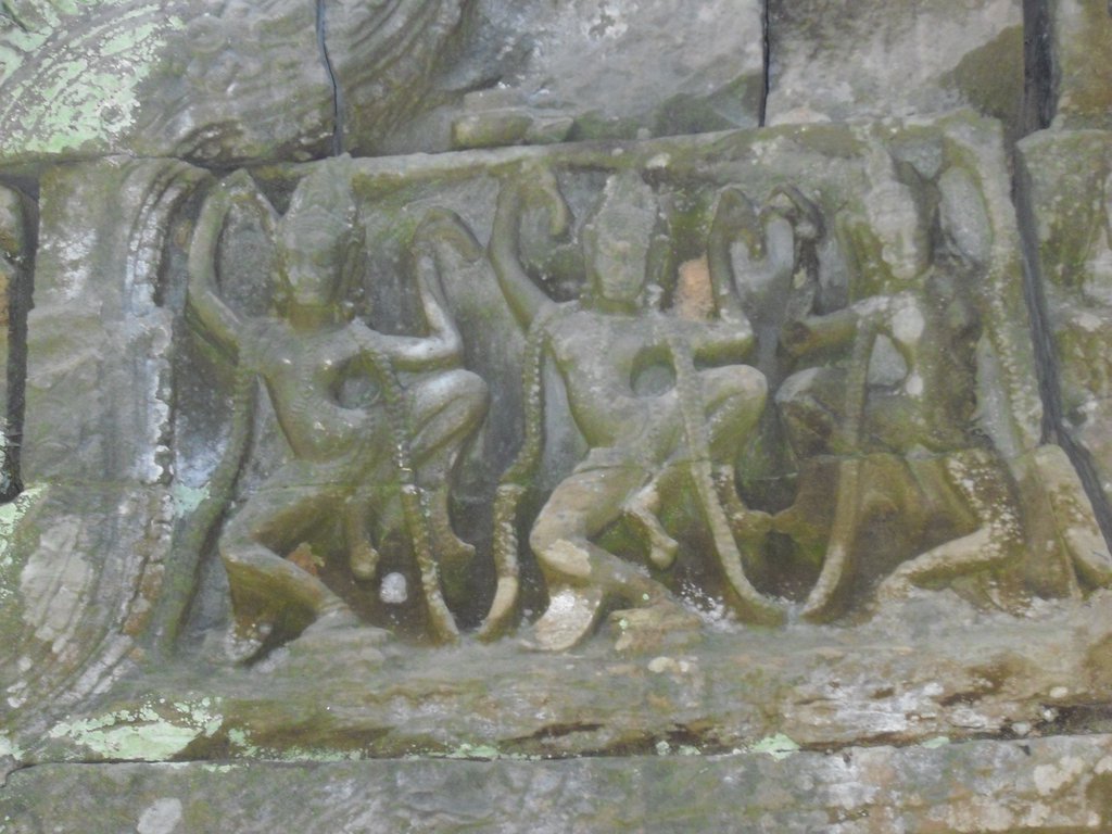 Image CIMG3161.JPG
