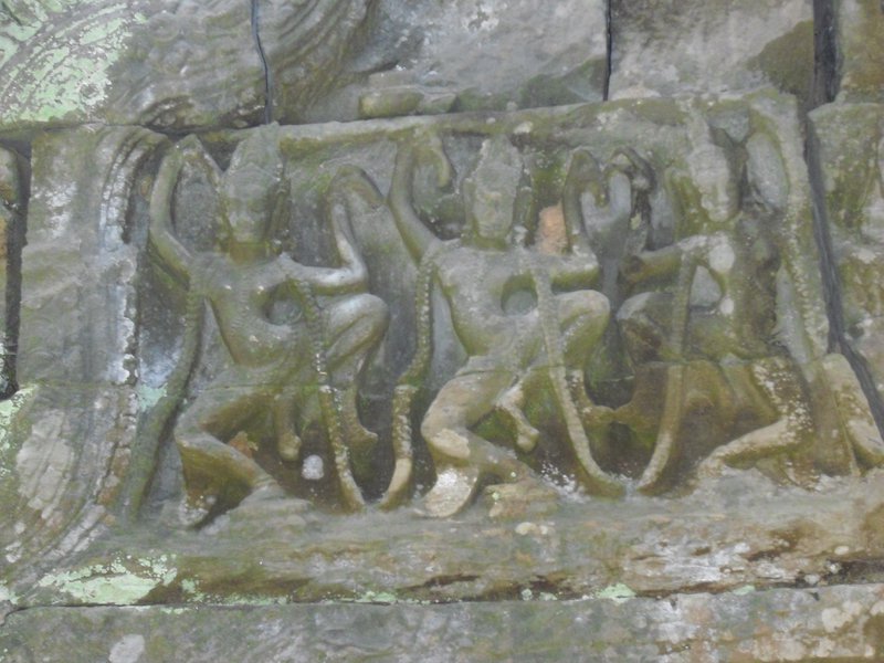 Image CIMG3161.JPG
