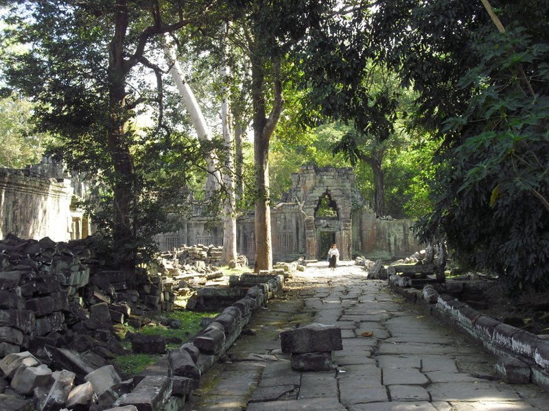 Image CIMG3163.JPG
