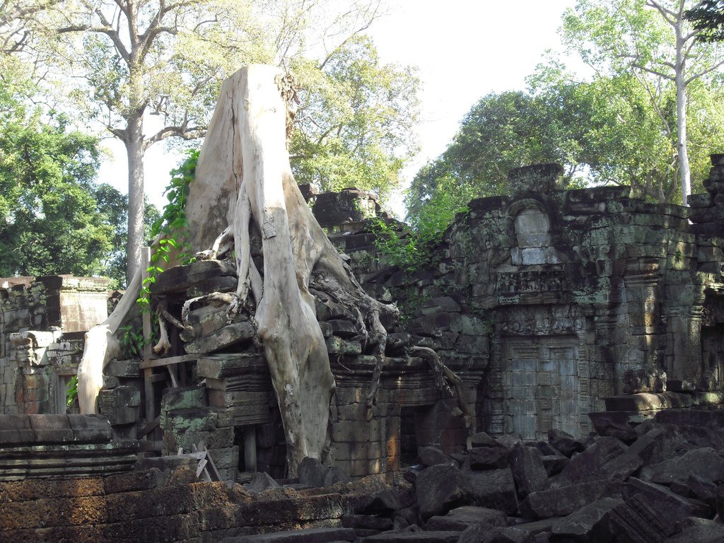 Image CIMG3164.JPG