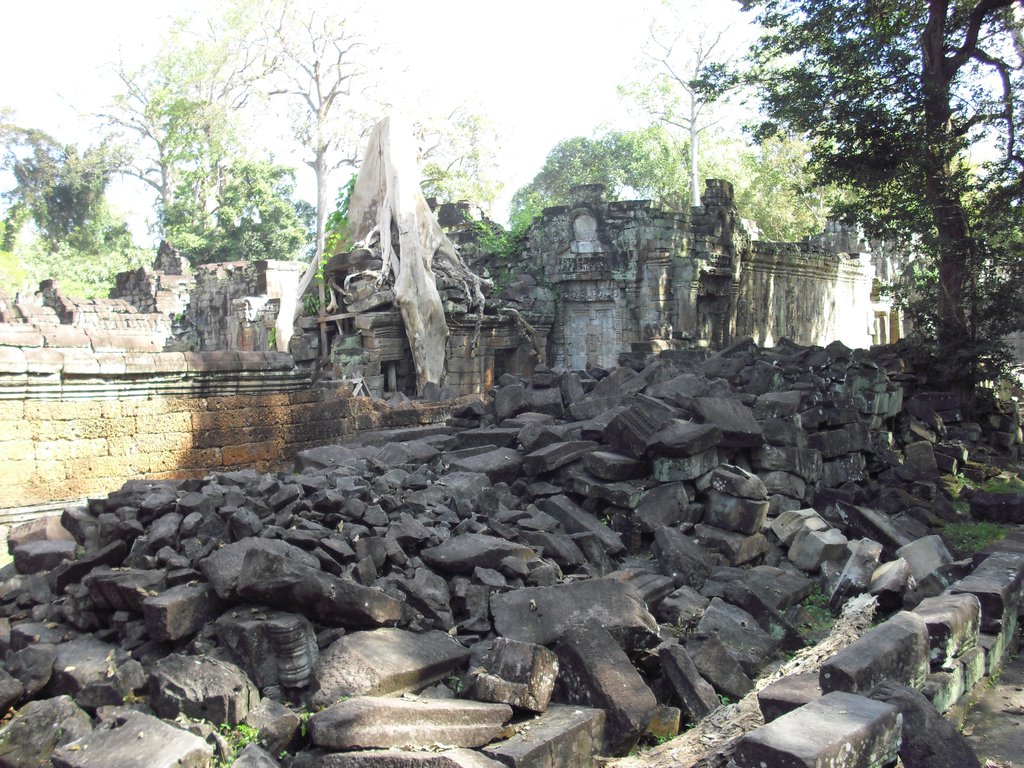Image CIMG3165.JPG