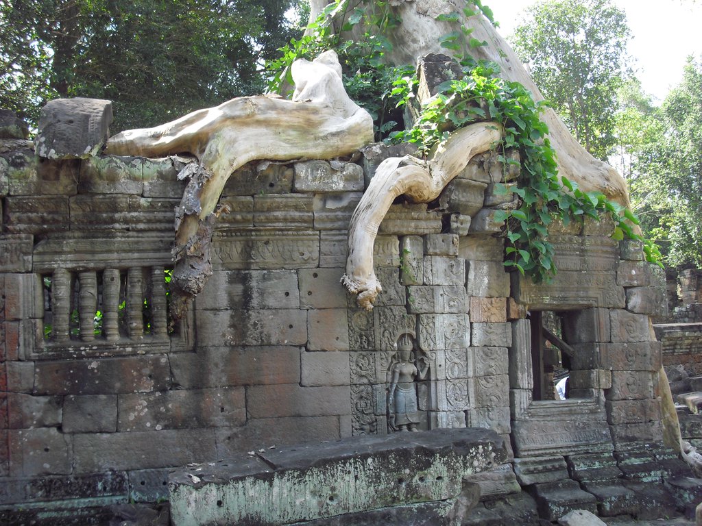 Image CIMG3168.JPG