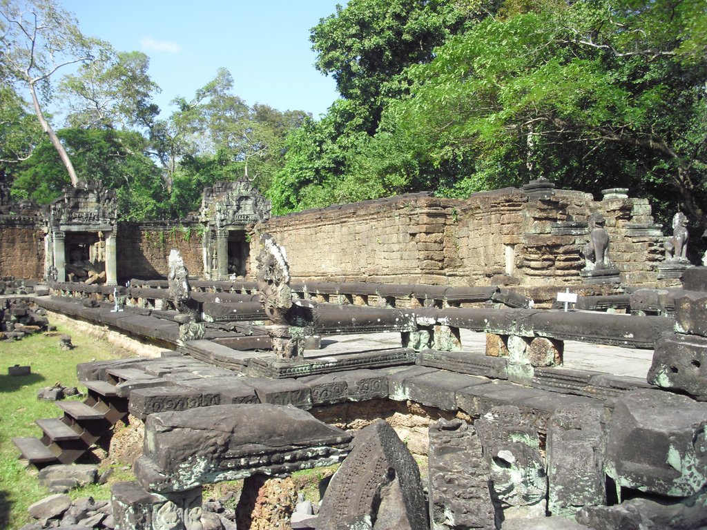 Image CIMG3171.JPG
