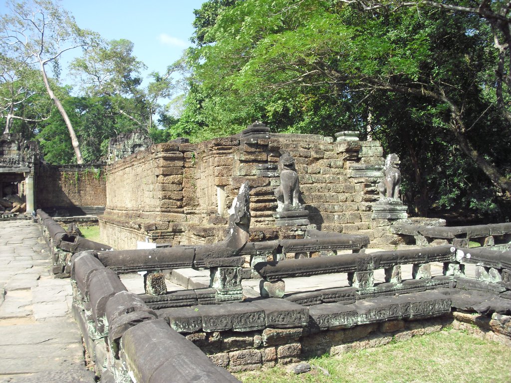 Image CIMG3172.JPG